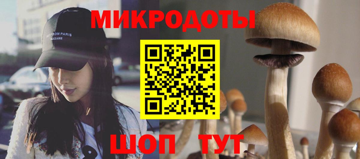 Заринск  Галлюциногенные грибы прущие грибы  Вход с VPN 